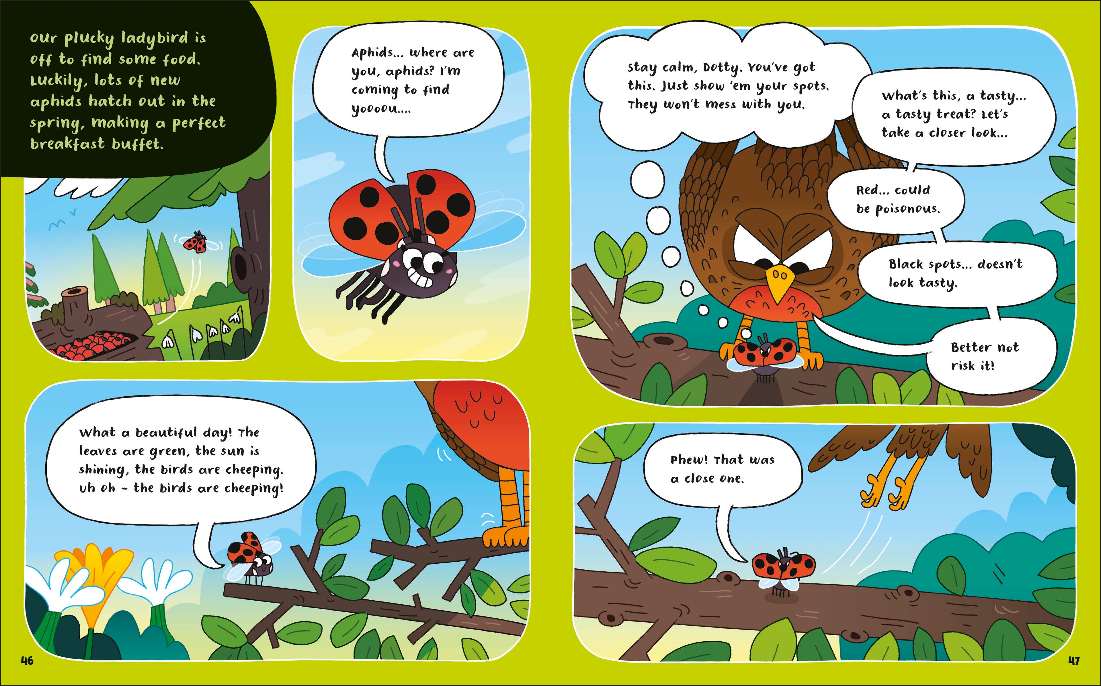 How to be a Ladybird (in association with the Royal Entomological Society)