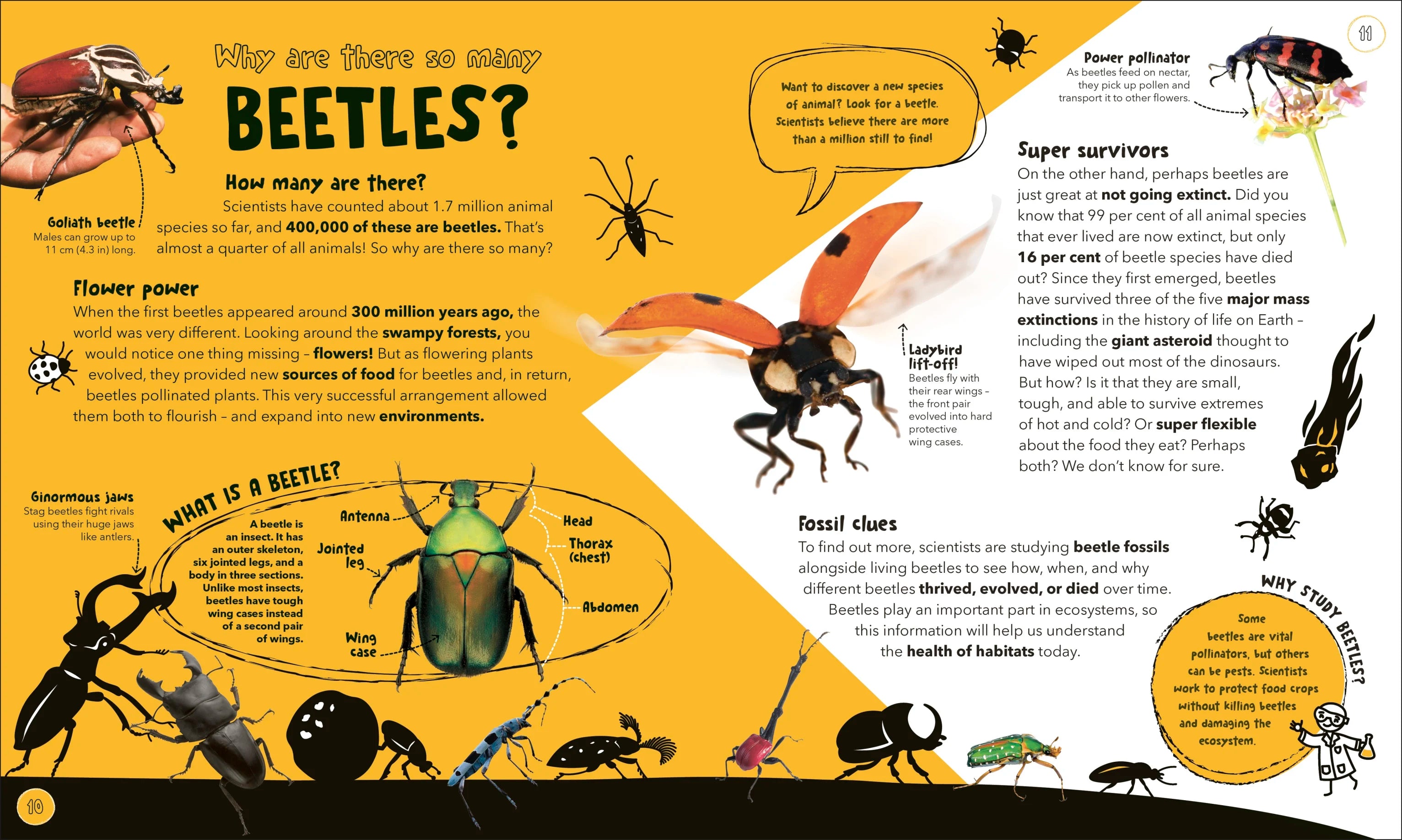 Things Scientists Don't Know Yet