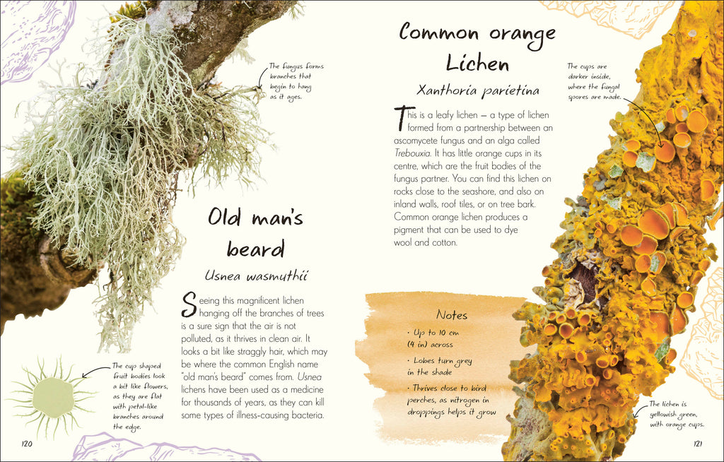 An Anthology of Fungi