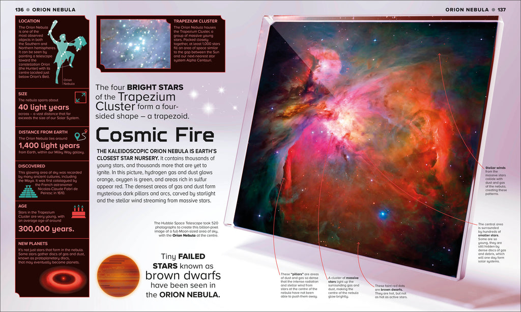 9780241691069-spread-5