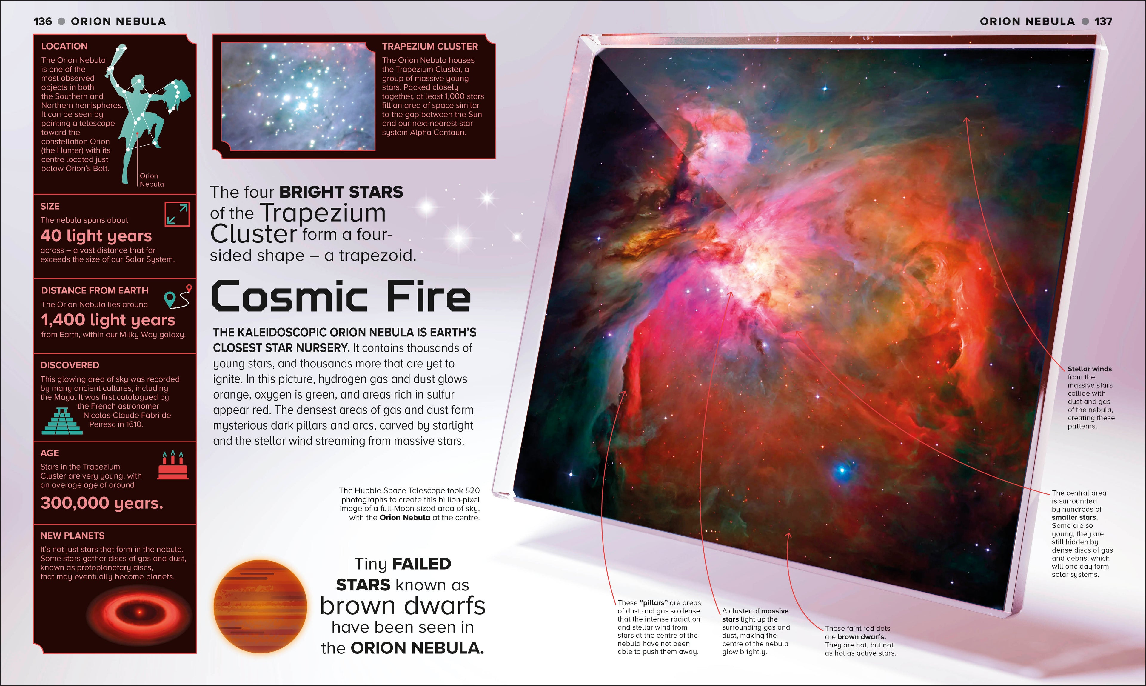 9780241691069-spread-5