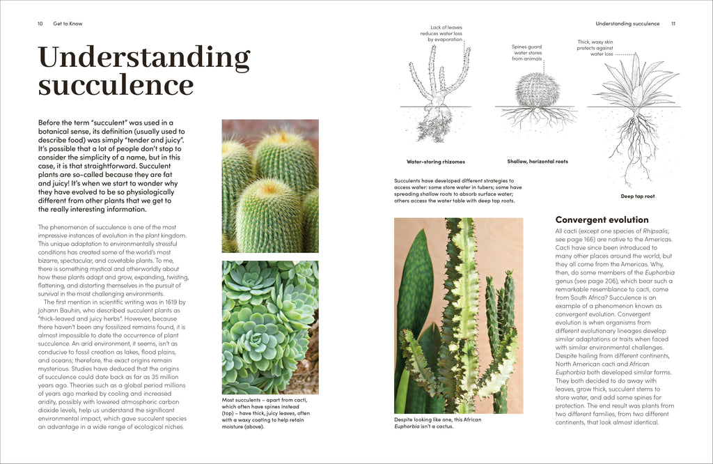 cactus and succulent encyclopedia Cacti and Succulents – DK