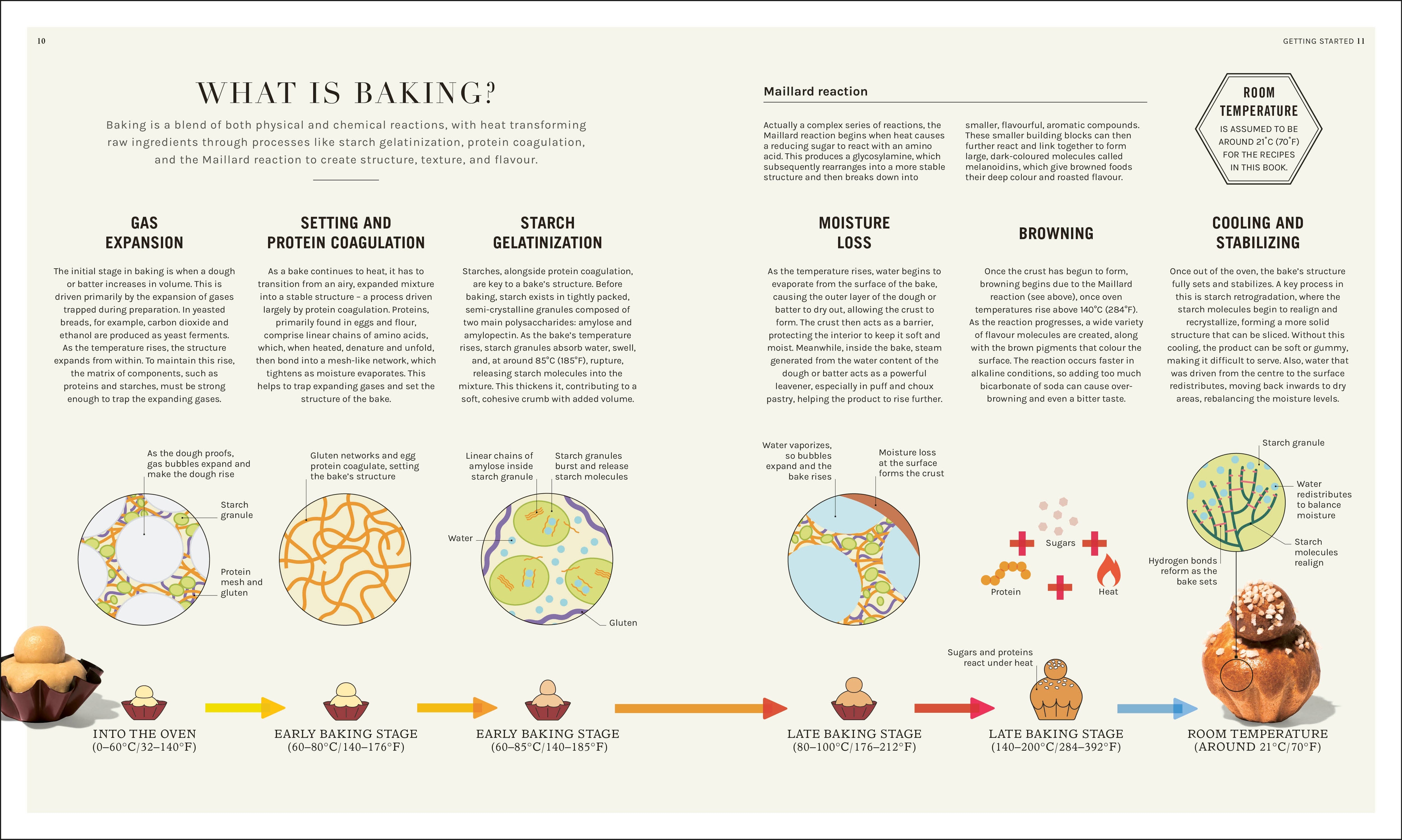 The Science of Baking – DK