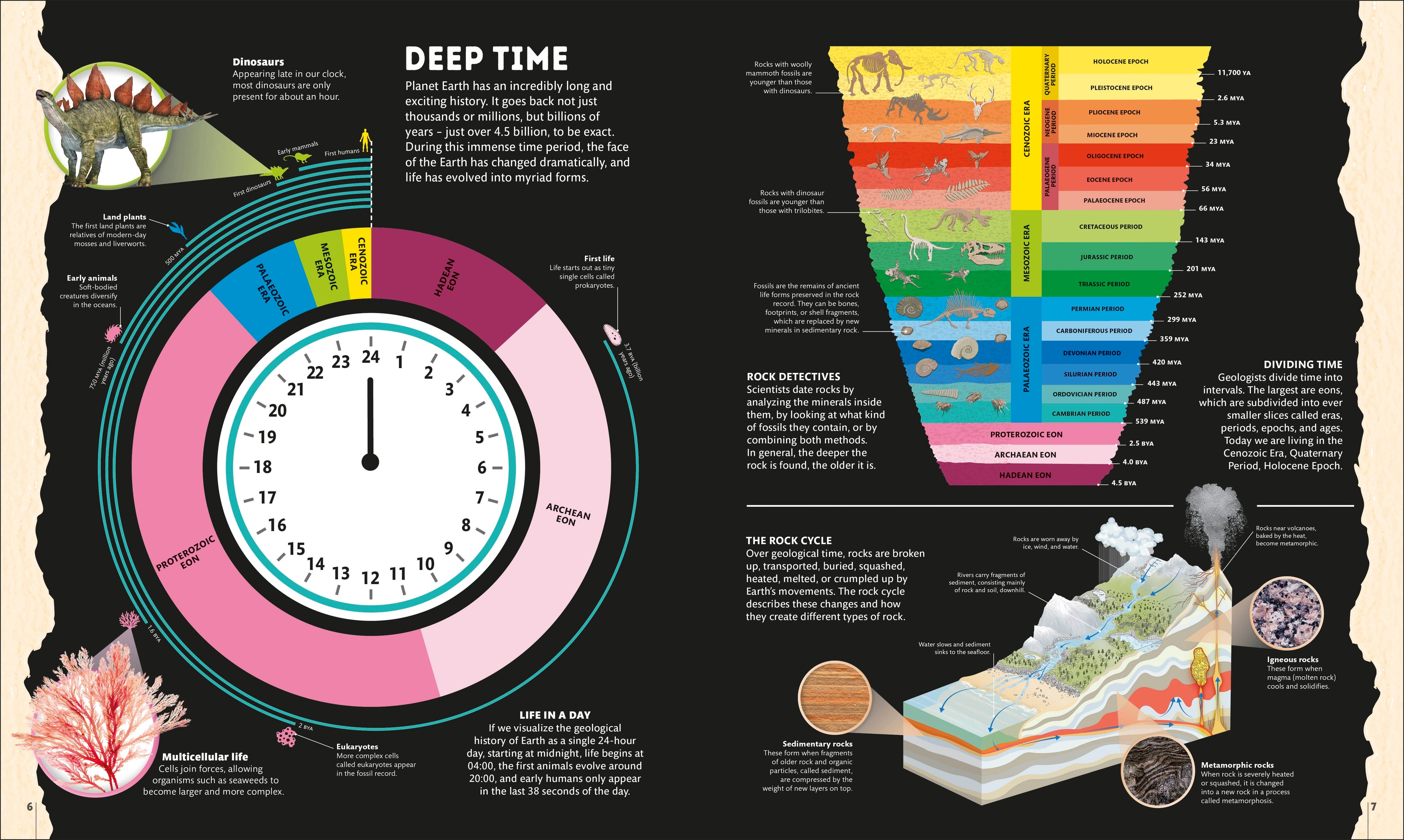 Planet Earth: A 4.5 Billion Year Story