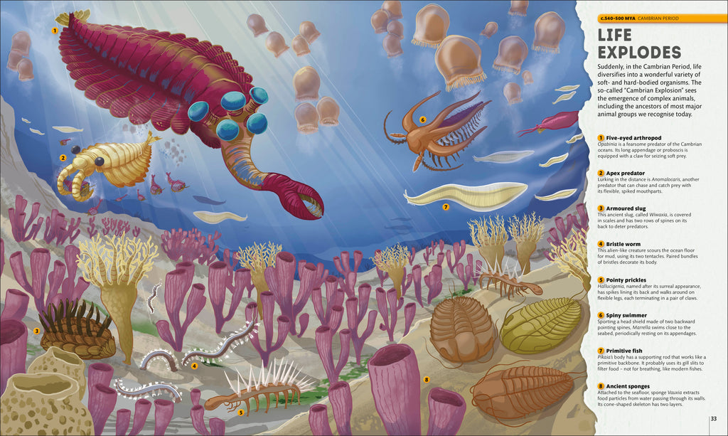 Planet Earth: A 4.5 Billion Year Story