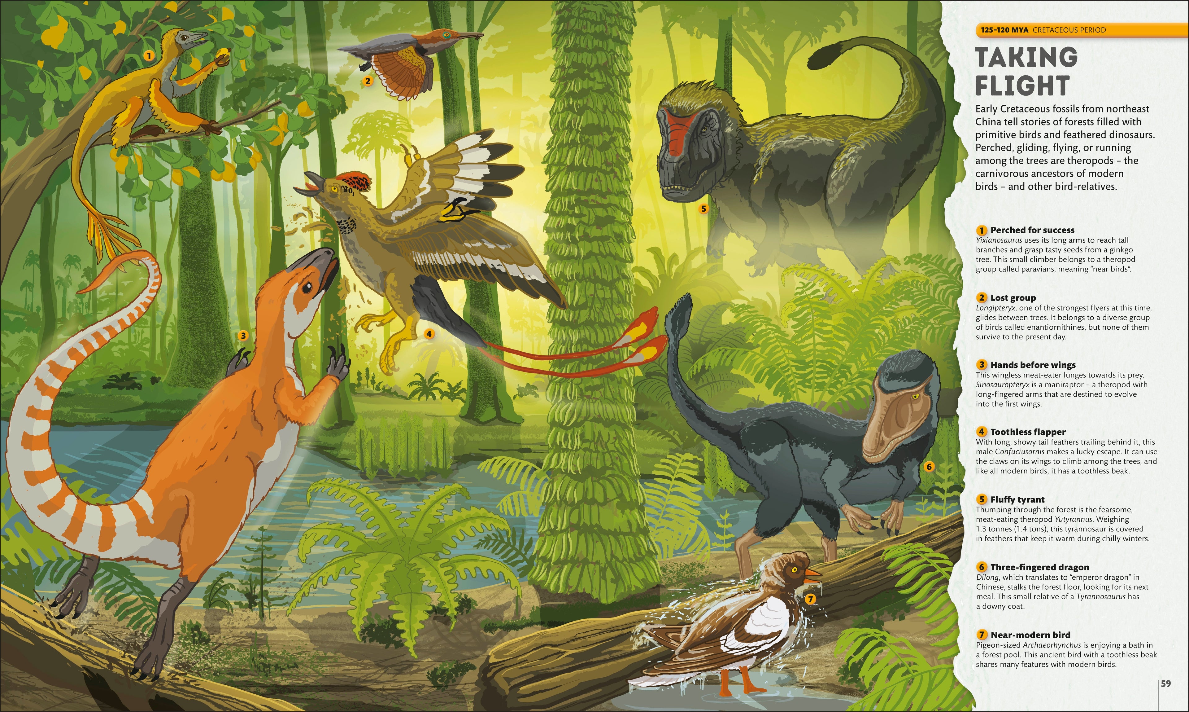 Planet Earth: A 4.5 Billion Year Story