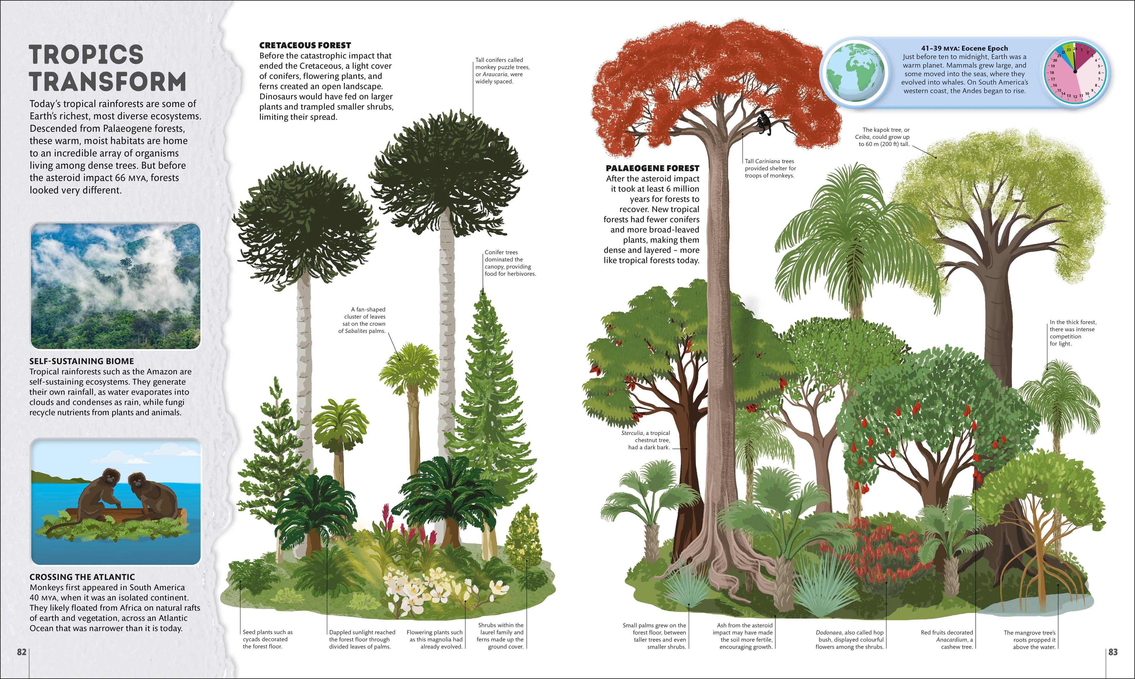 Planet Earth: A 4.5 Billion Year Story