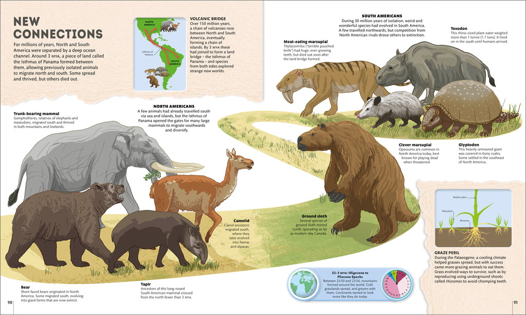 Planet Earth: A 4.5 Billion Year Story