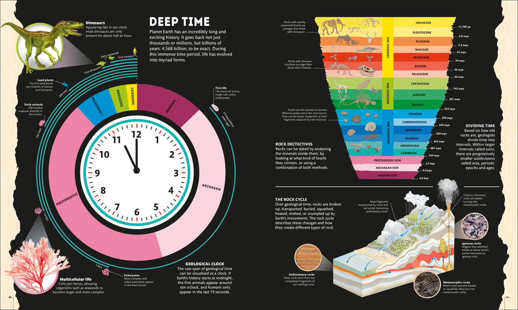 Planet Earth: A 4.5 Billion Year Story