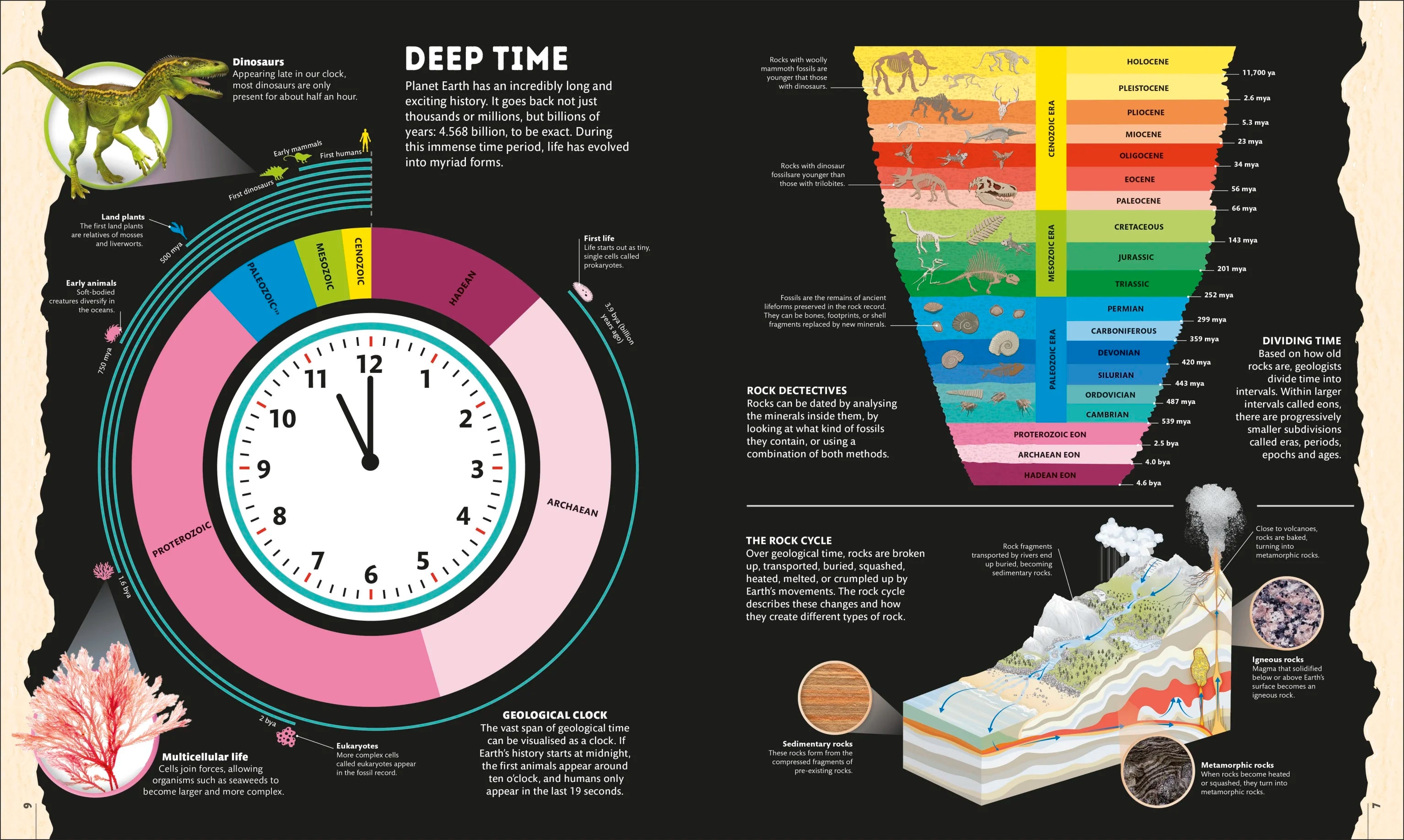 Planet Earth: A 4.5 Billion Year Story