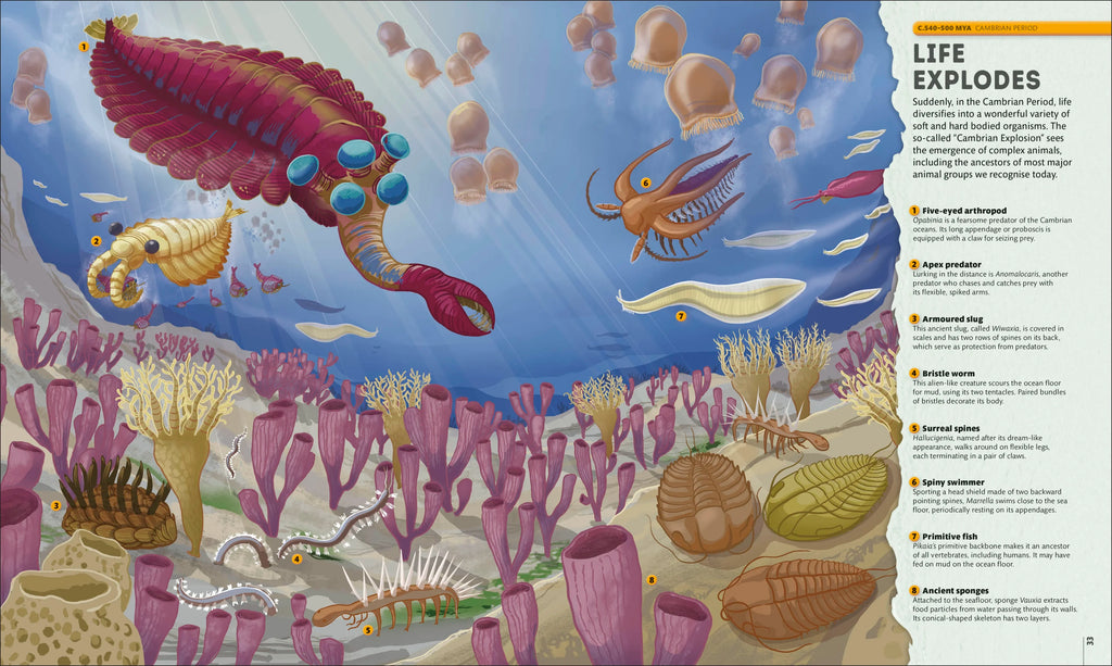 Planet Earth: A 4.5 Billion Year Story