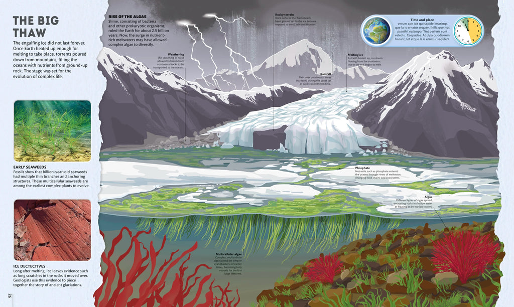 Planet Earth: A 4.5 Billion Year Story