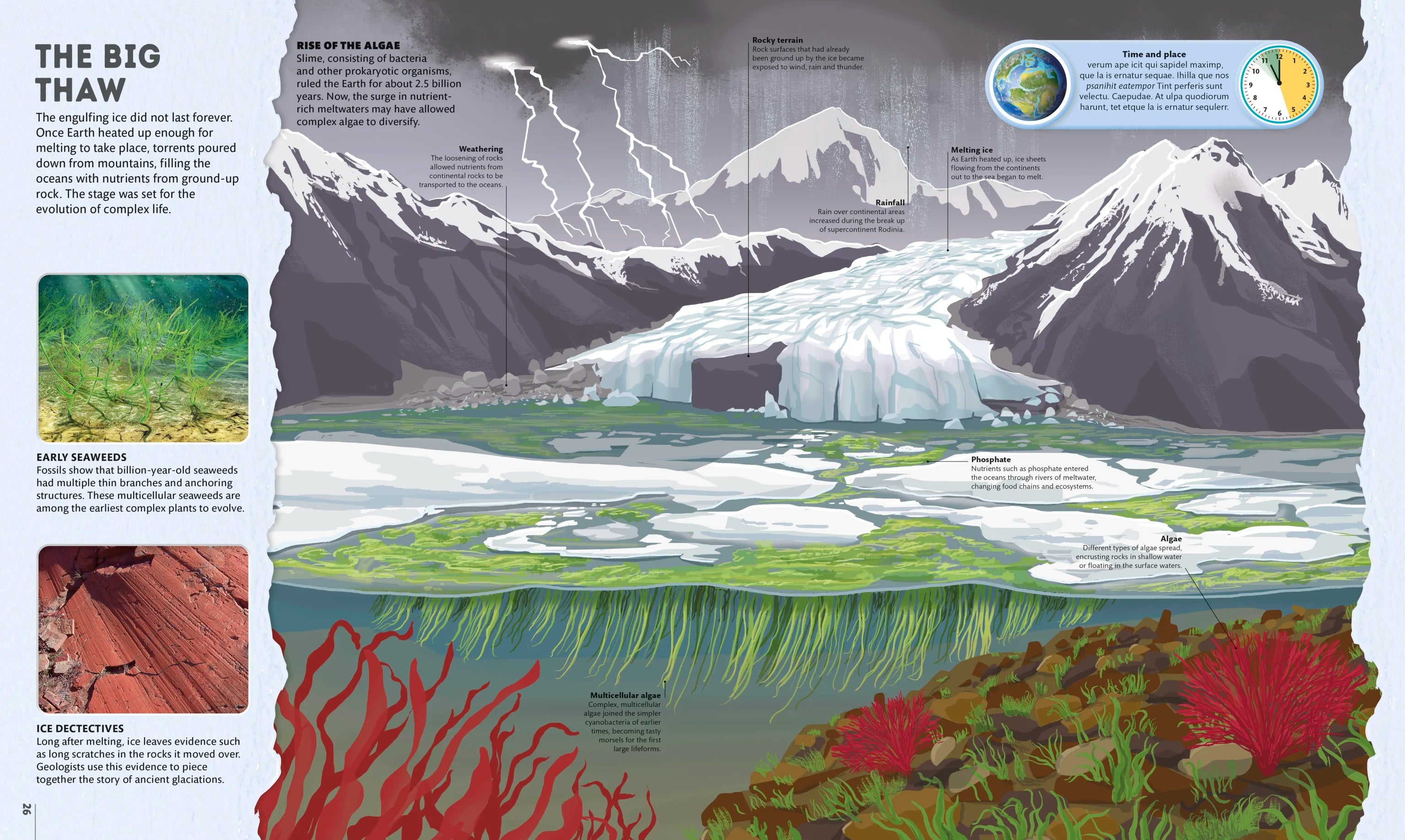 Planet Earth: A 4.5 Billion Year Story