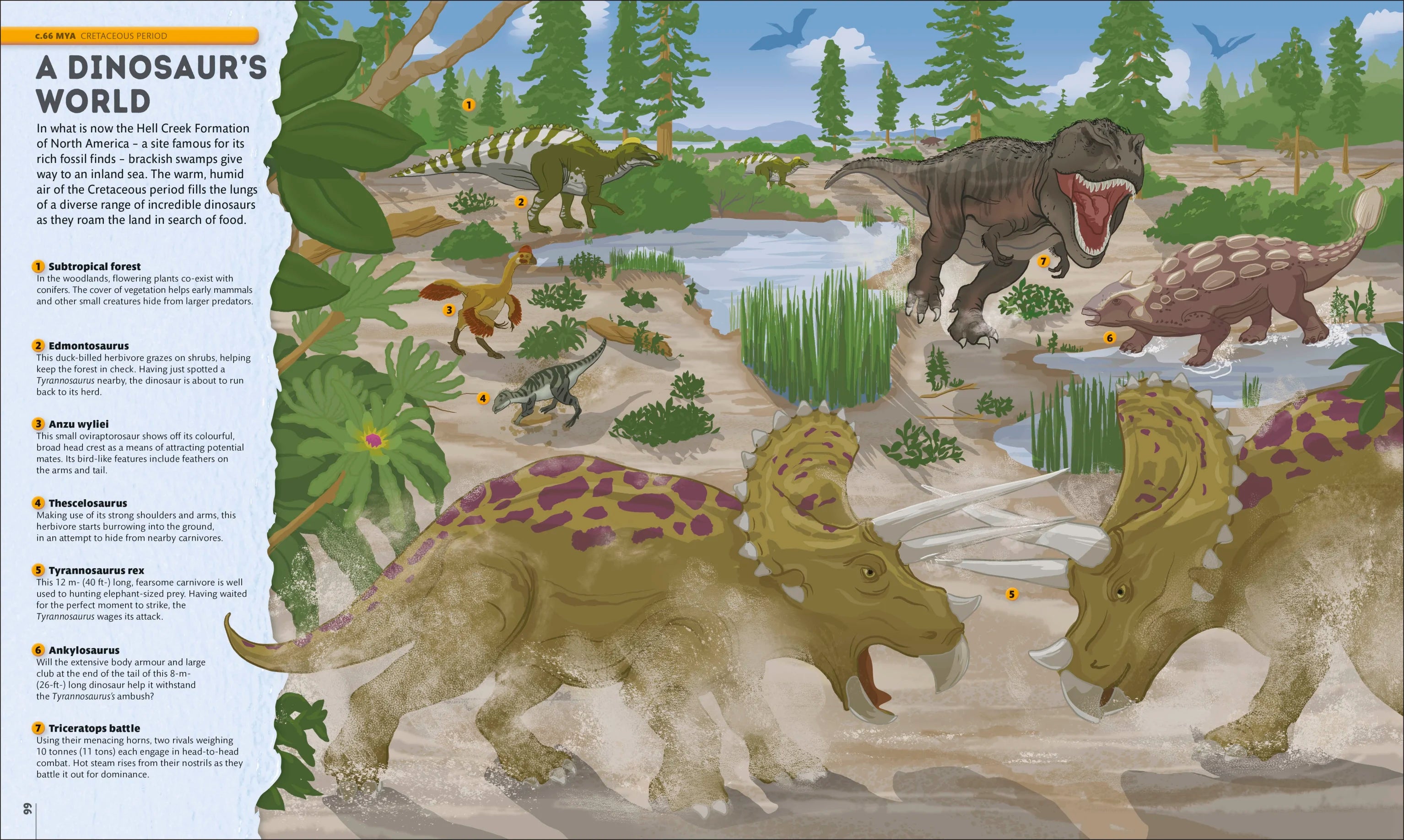 Planet Earth: A 4.5 Billion Year Story