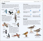 RSPB What's that Bird?