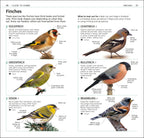 RSPB What's that Bird?