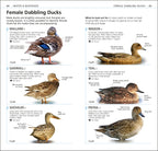 RSPB What's that Bird?