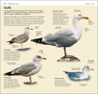 RSPB What's that Bird?