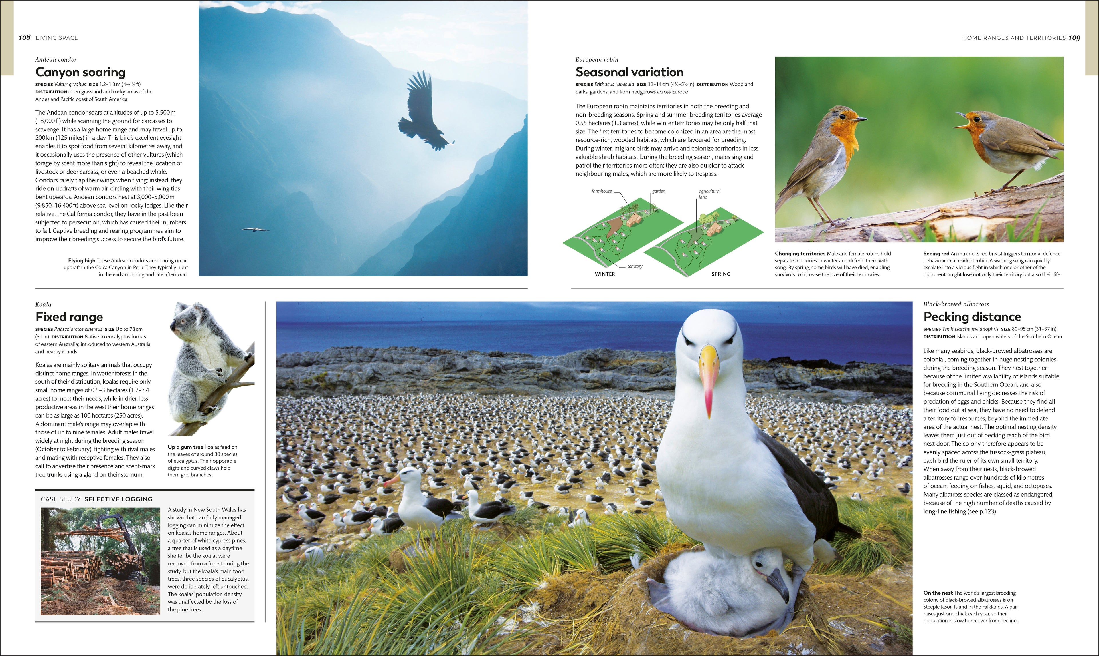 Animal Behaviour