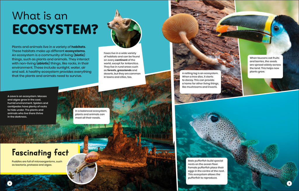 9780241721612-spread-Spread Image (PRHC Design Do Not Use)