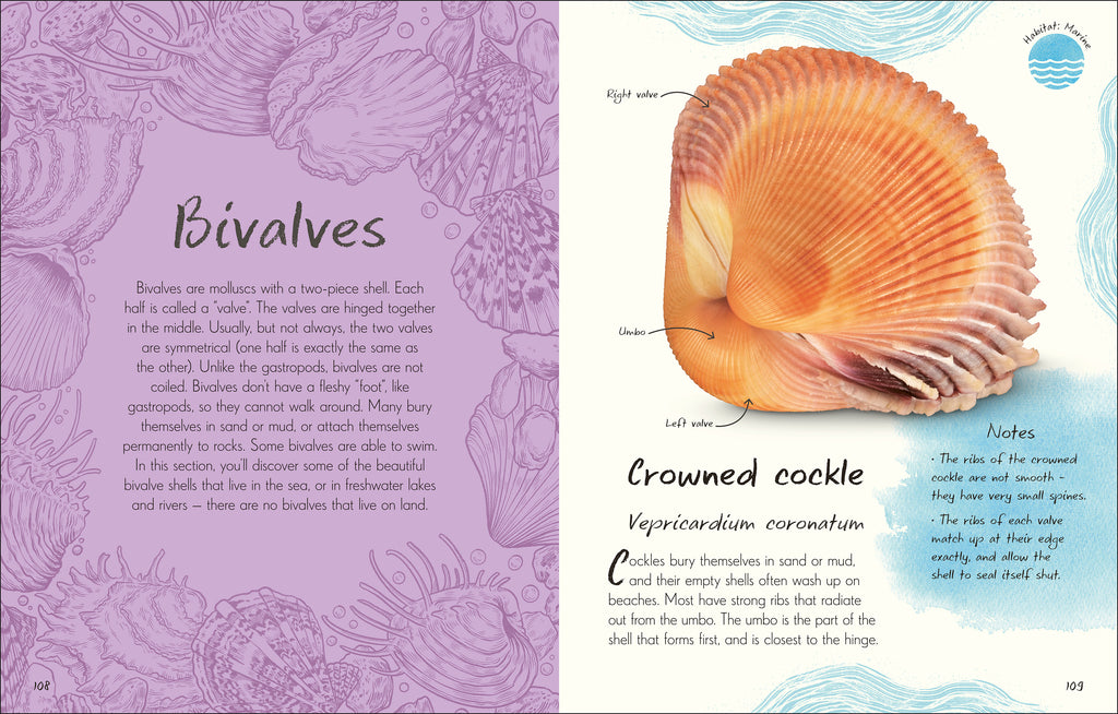 9780241725252-spread-5