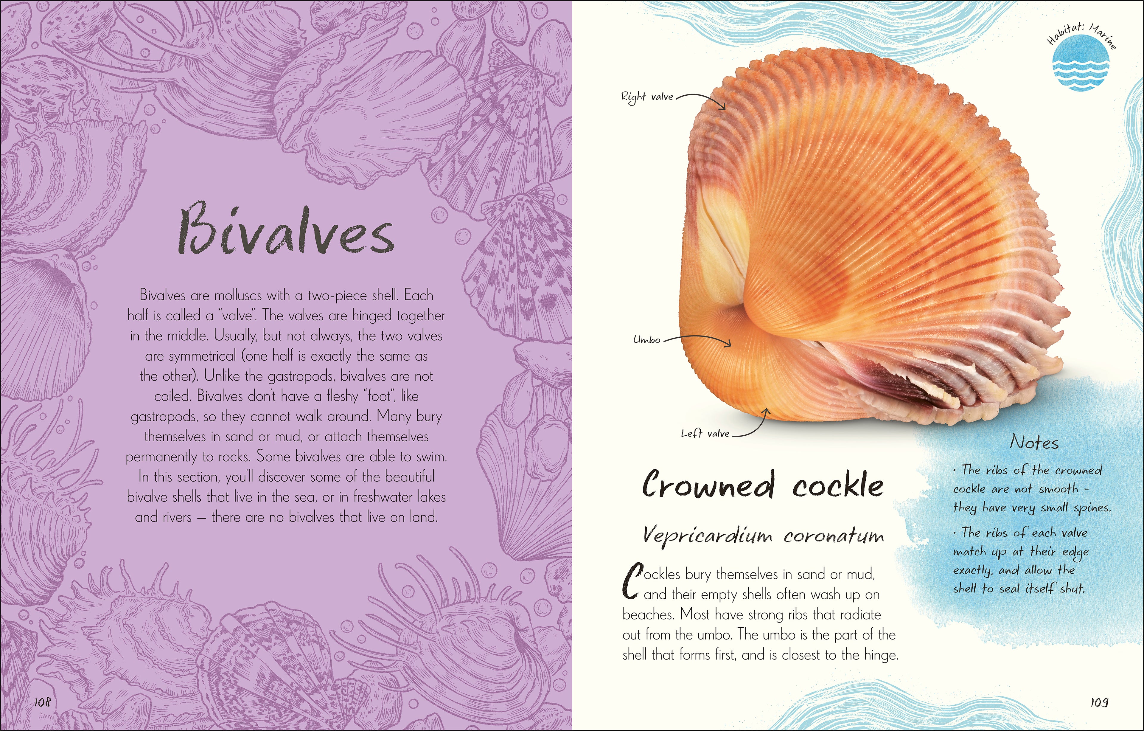 9780241725252-spread-5