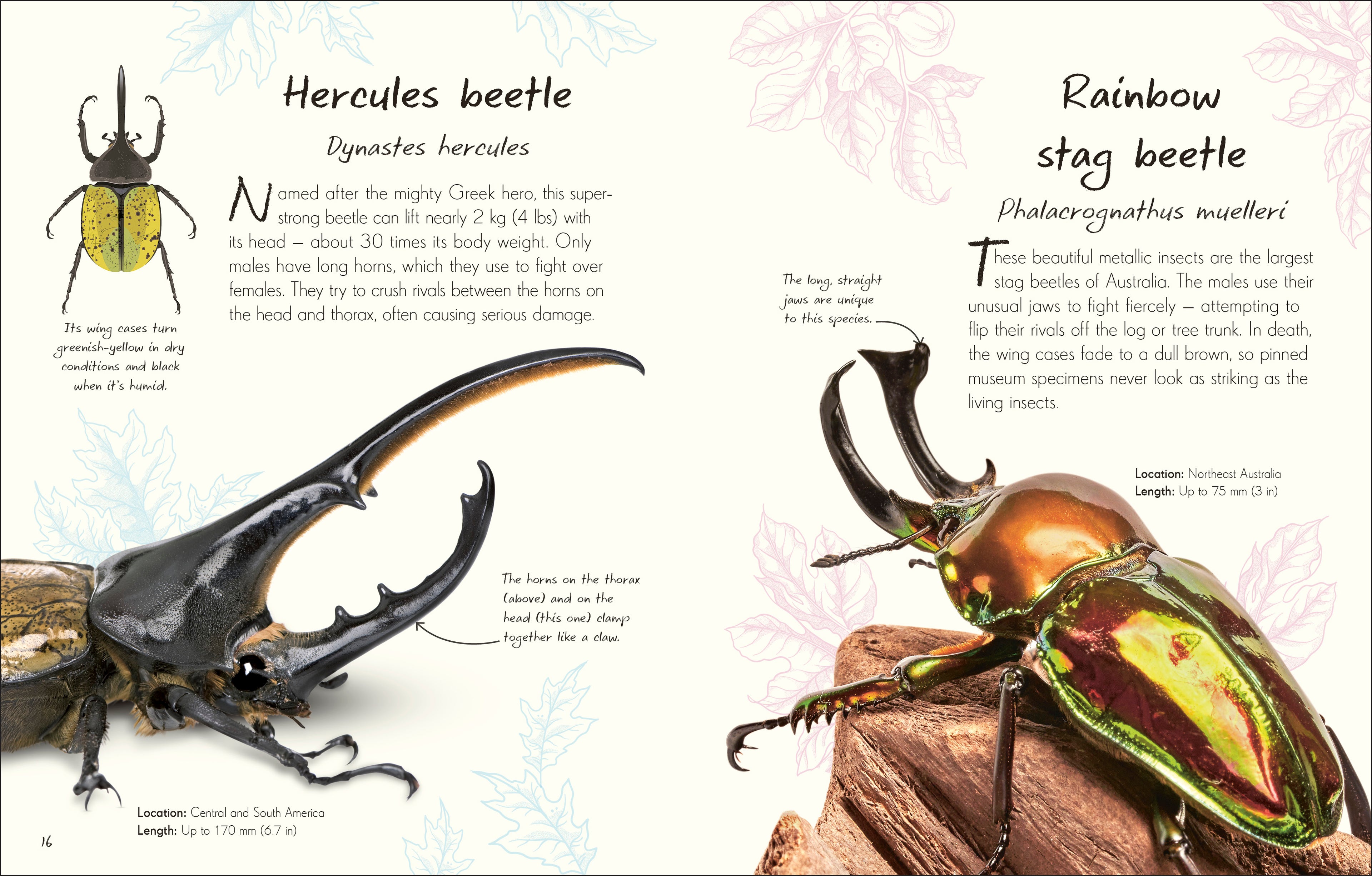 9780241725306-spread-3