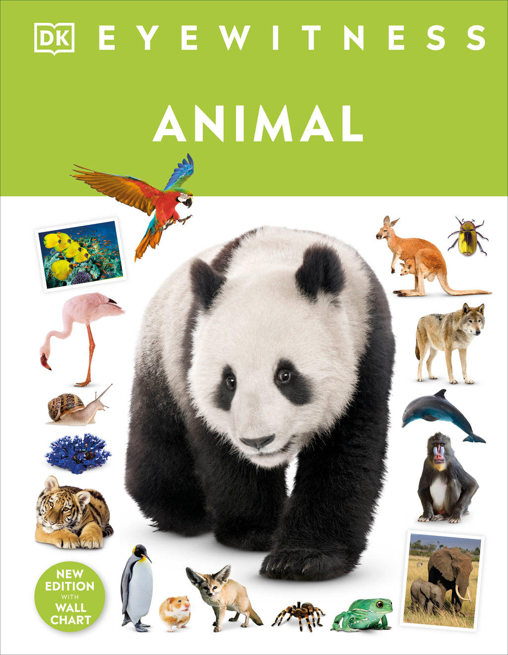 9780241727485-jacket-0