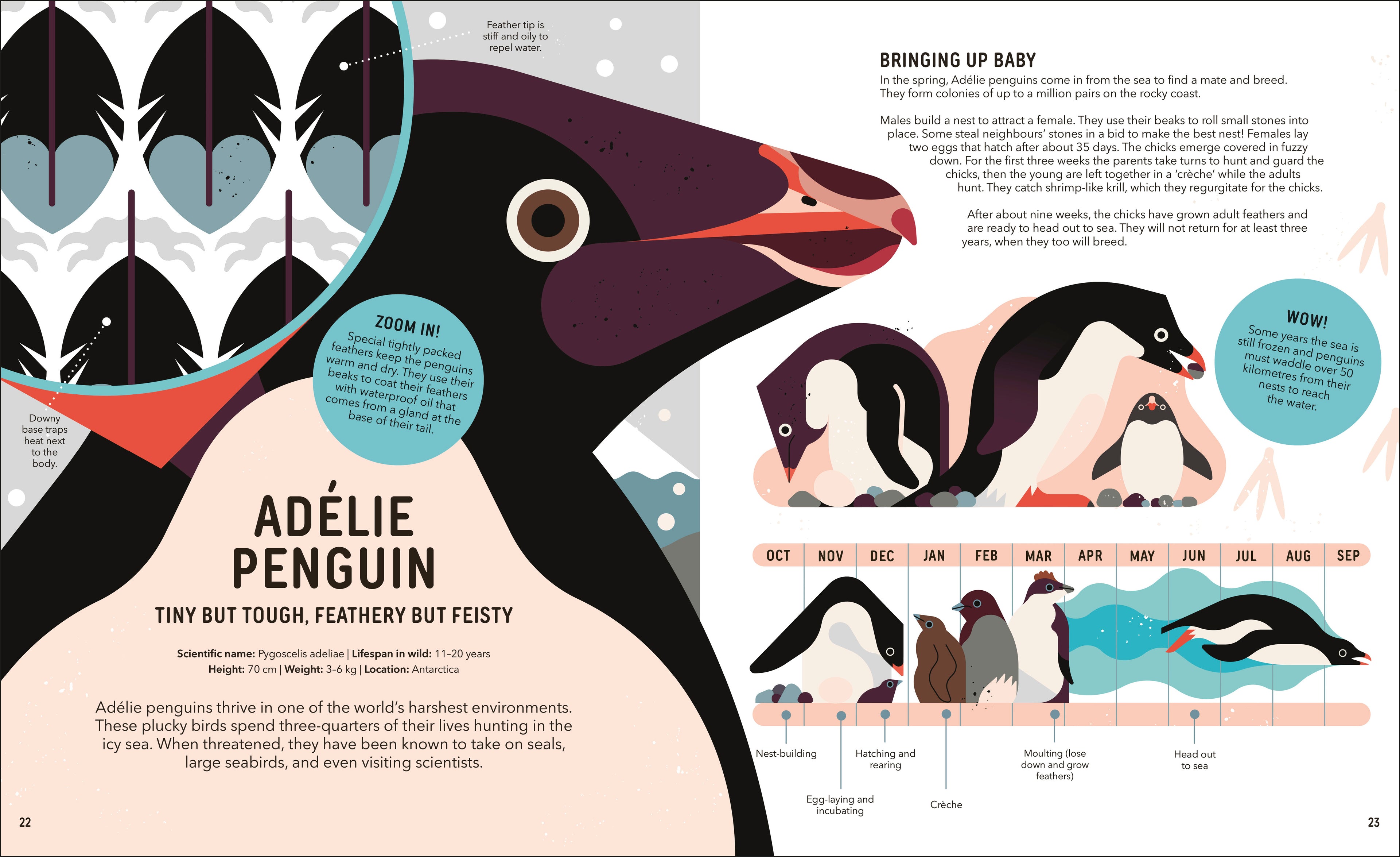 9780241729410-spread-Spread Image (PRHC Design Do Not Use)