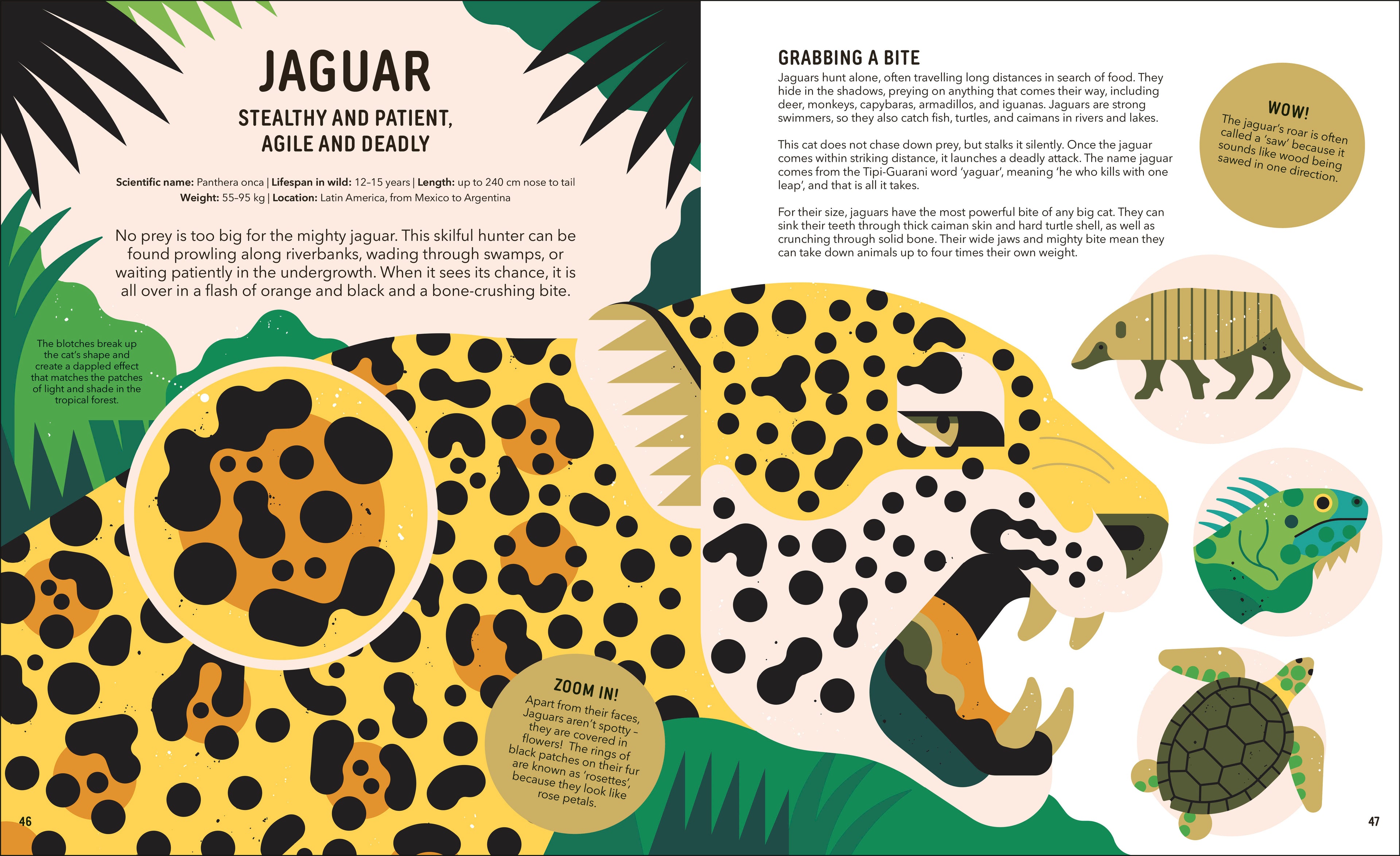 9780241729410-spread-Spread Image (PRHC Design Do Not Use)