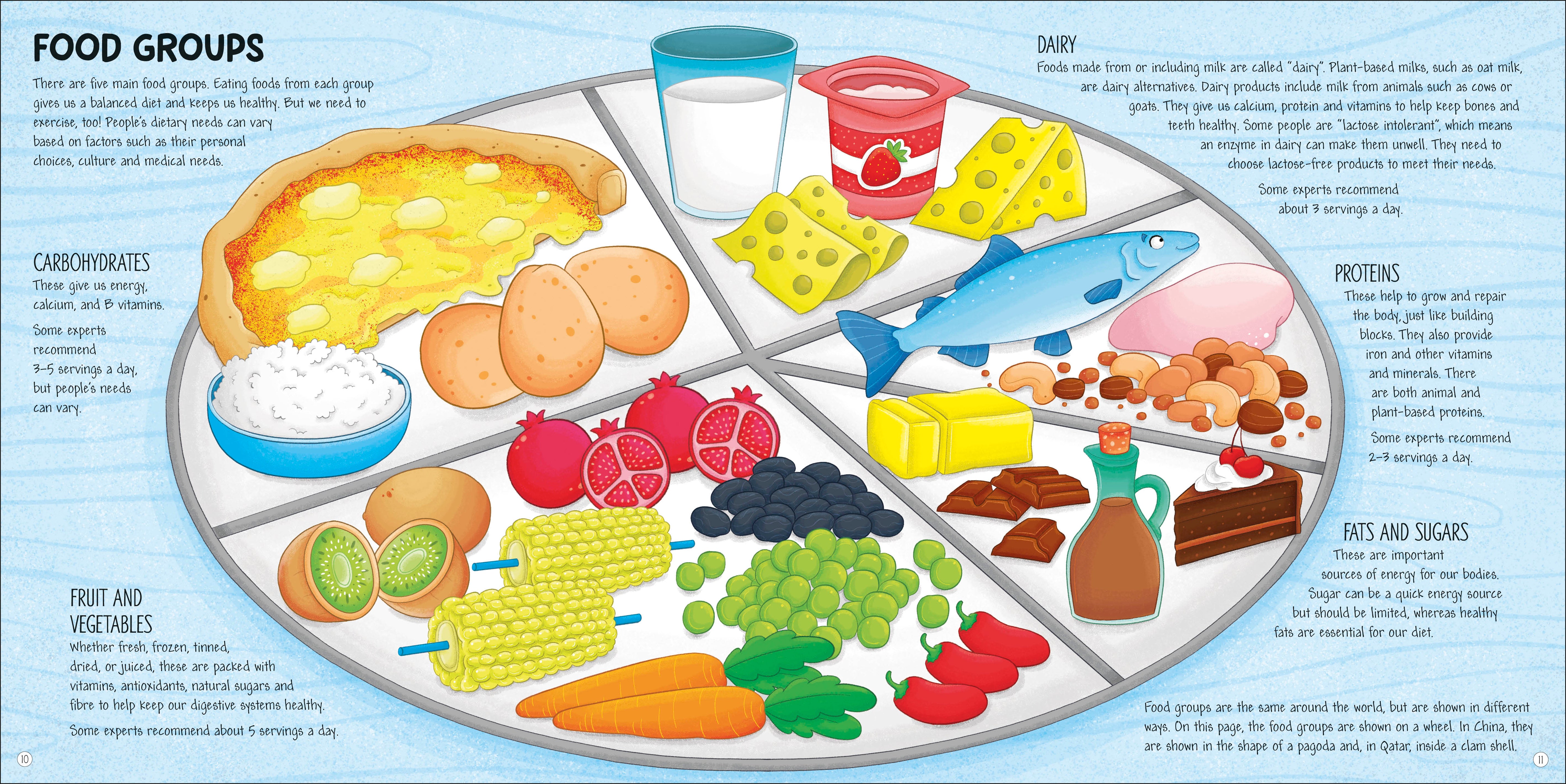 Food Around the World – DK