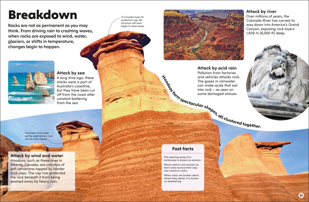 Eyewonder Rocks and Minerals