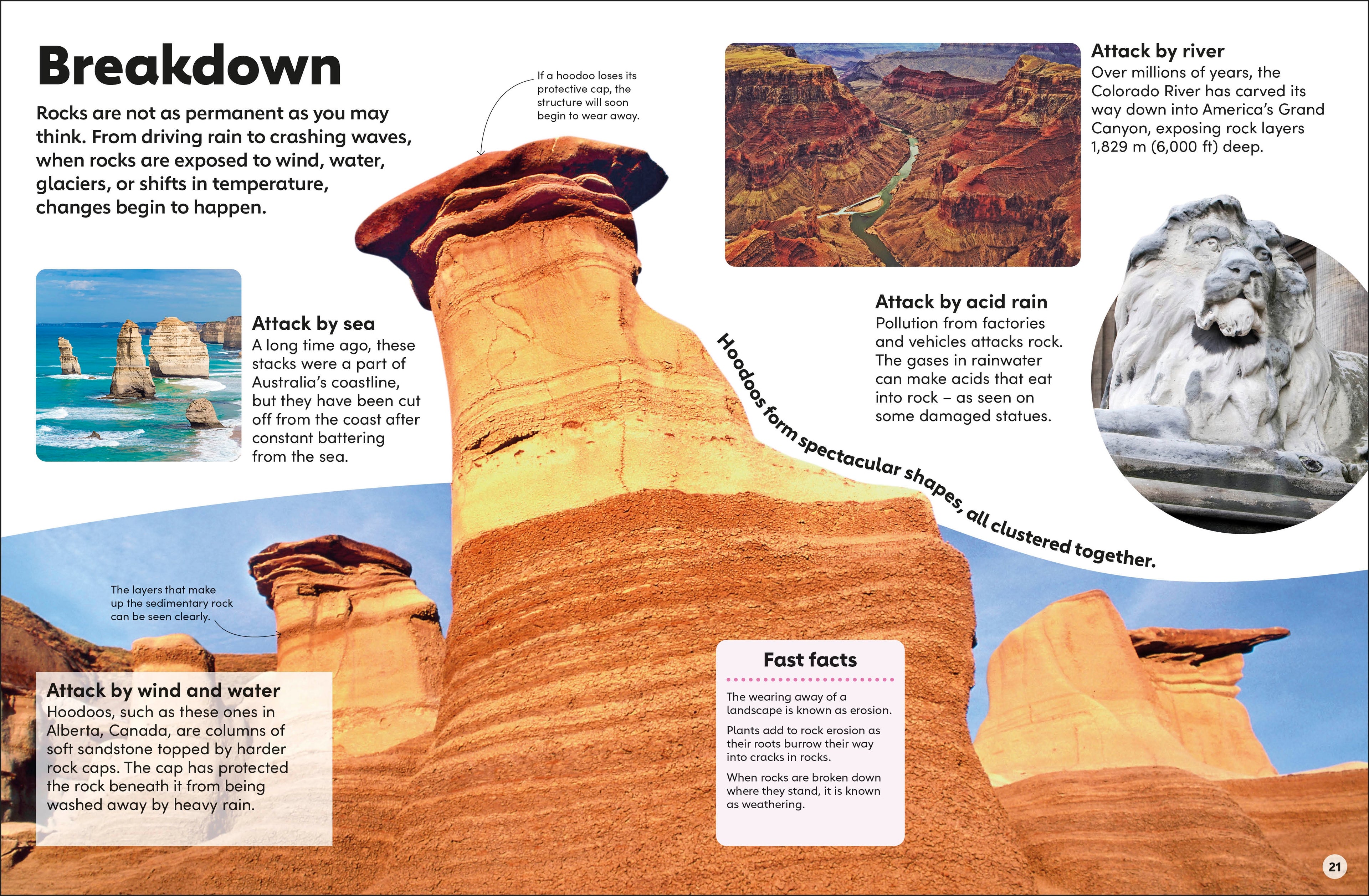 Eyewonder Rocks and Minerals