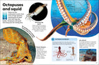 Eyewonder Oceans