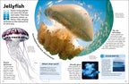 Eyewonder Oceans