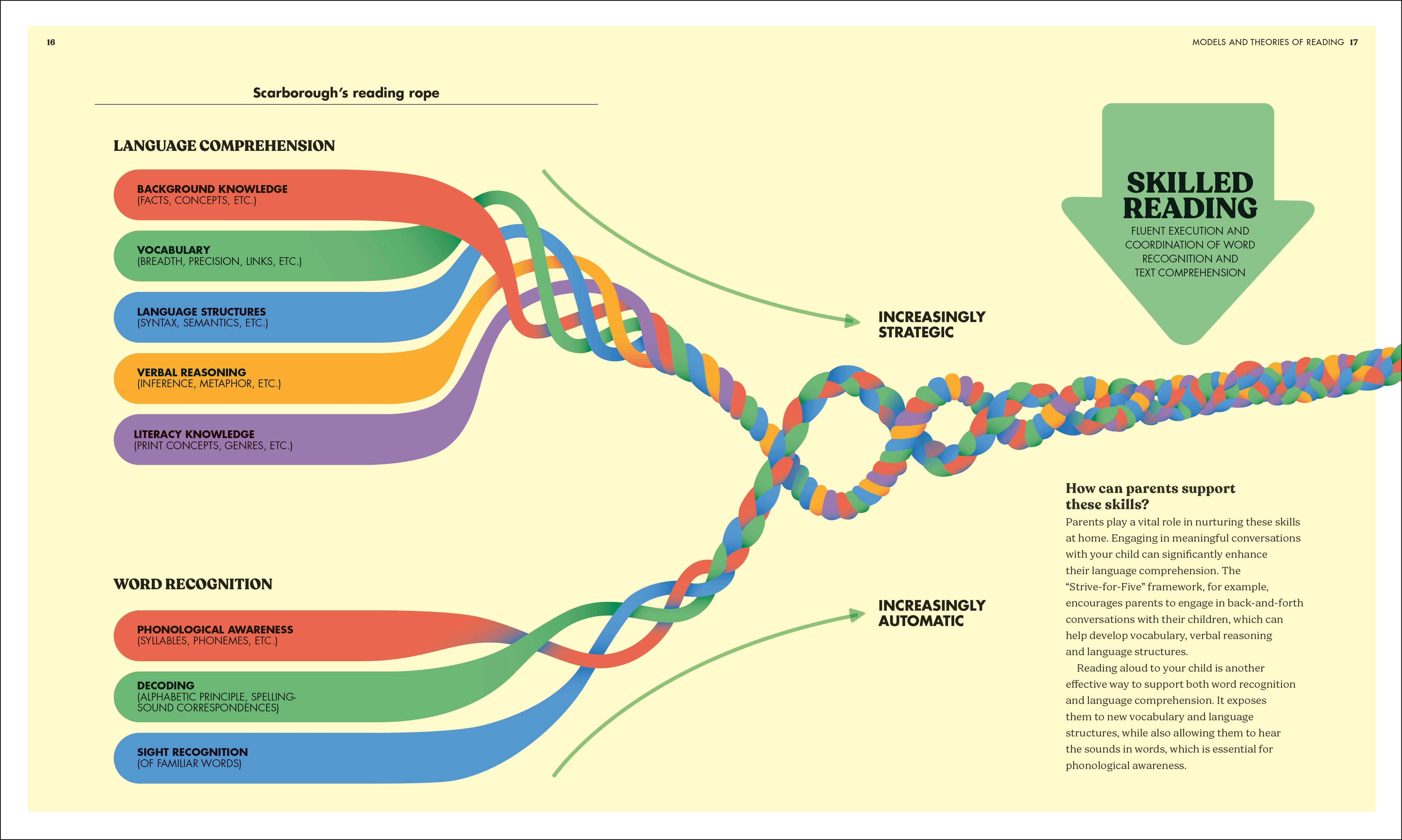 The Science of Reading – DK