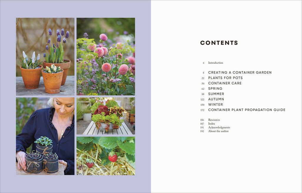 The Money-Saving Gardener Containers