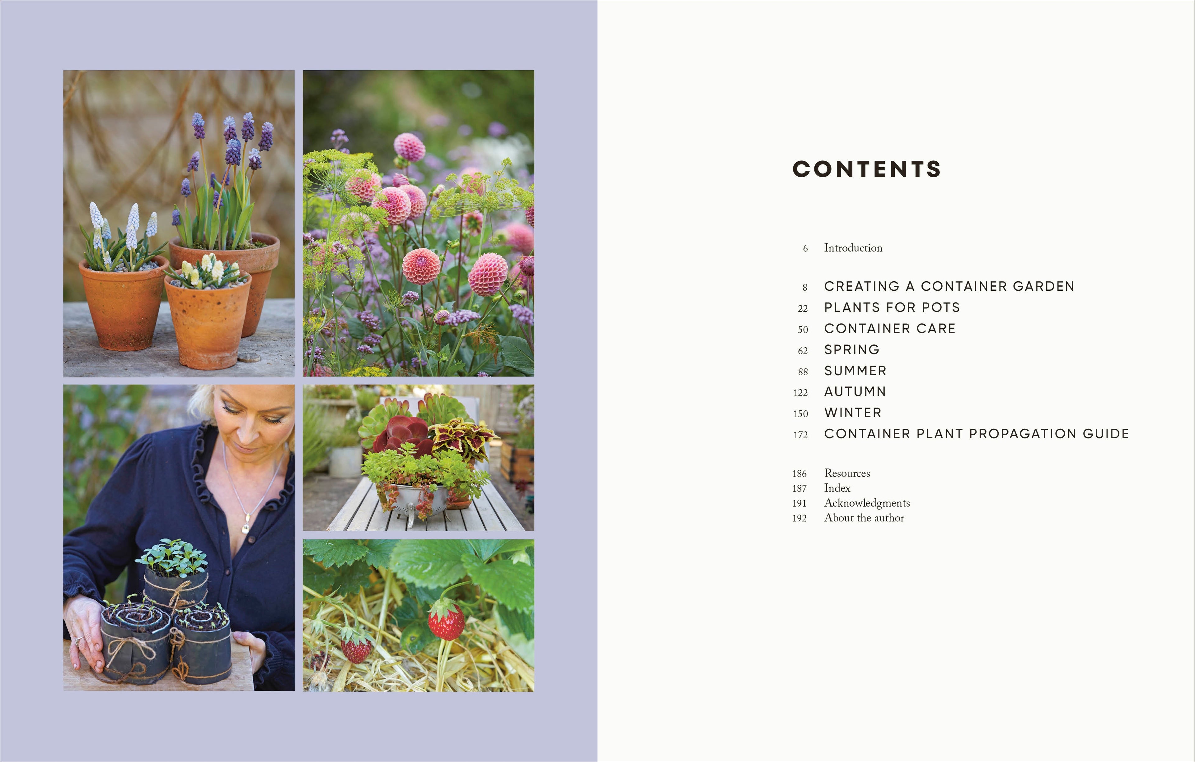 The Money-Saving Gardener Containers