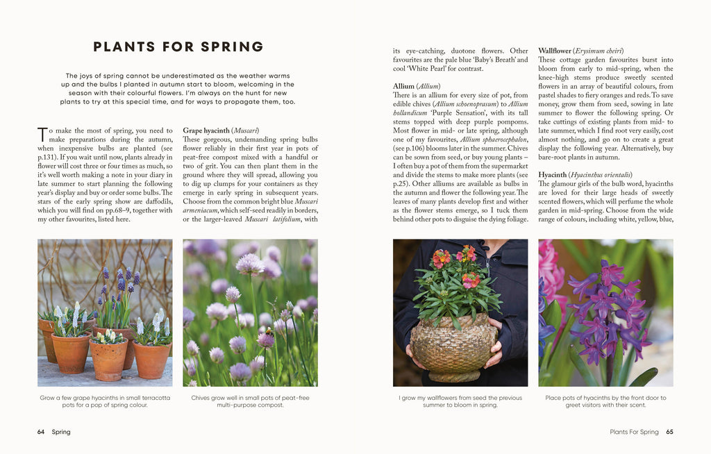 The Money-Saving Gardener Containers