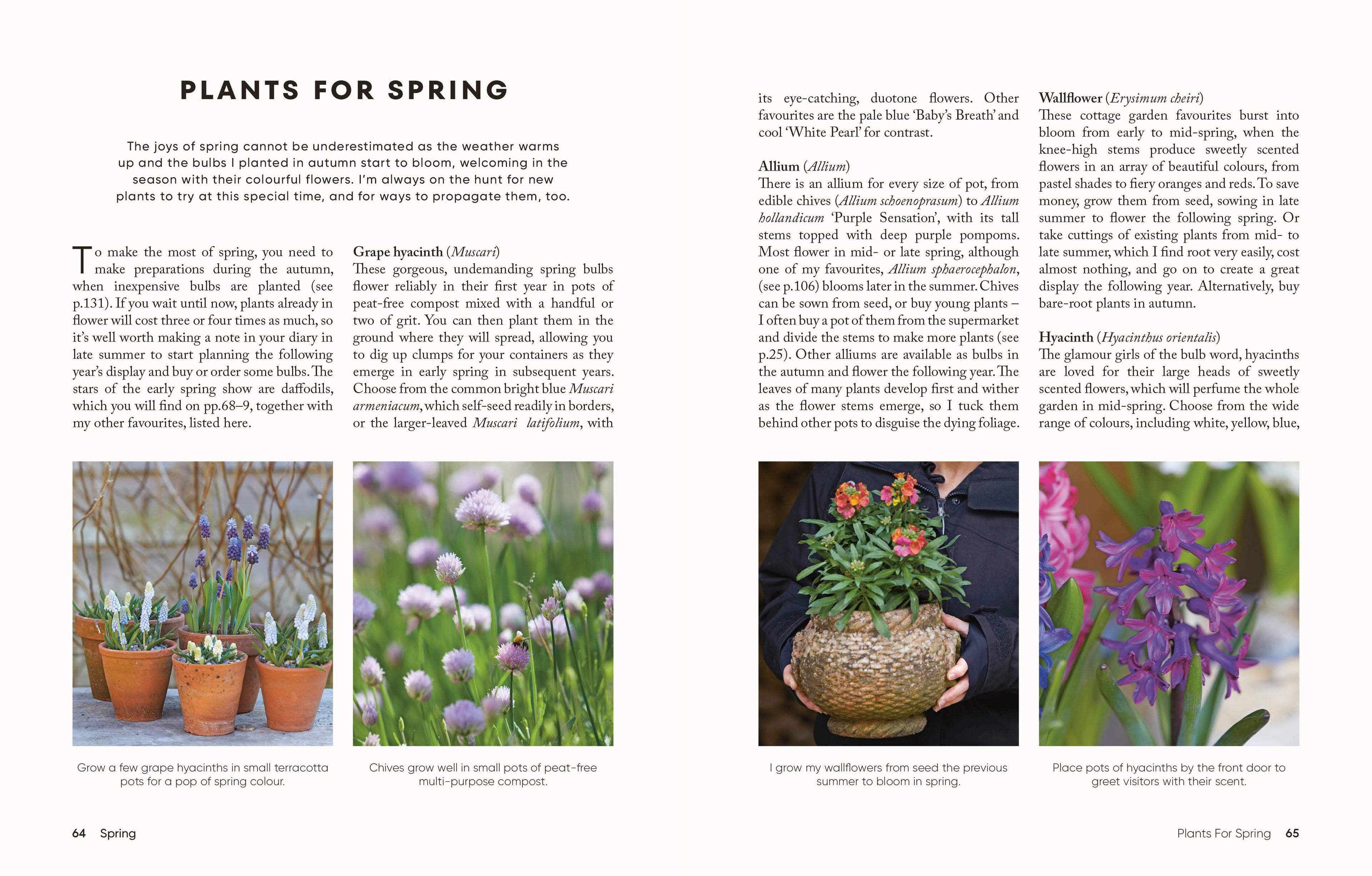 The Money-Saving Gardener Containers