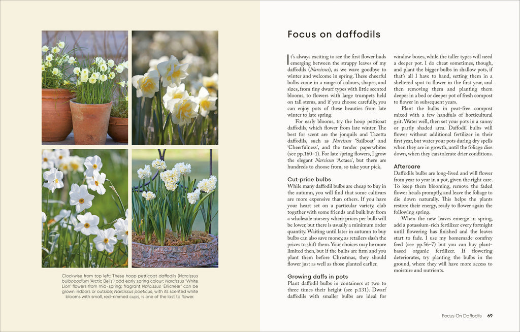 The Money-Saving Gardener Containers