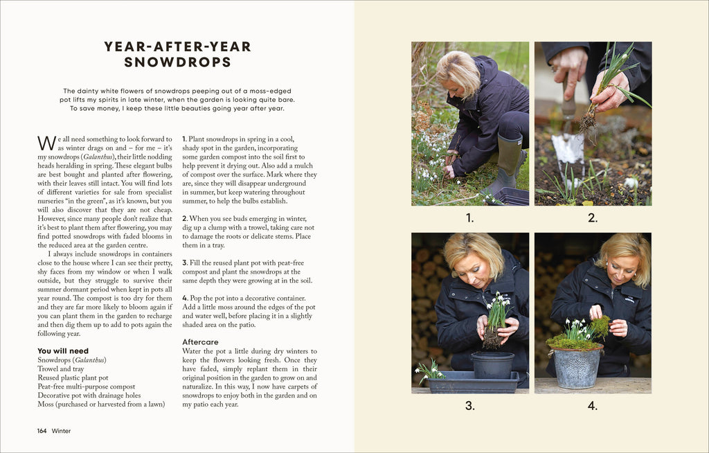 The Money-Saving Gardener Containers