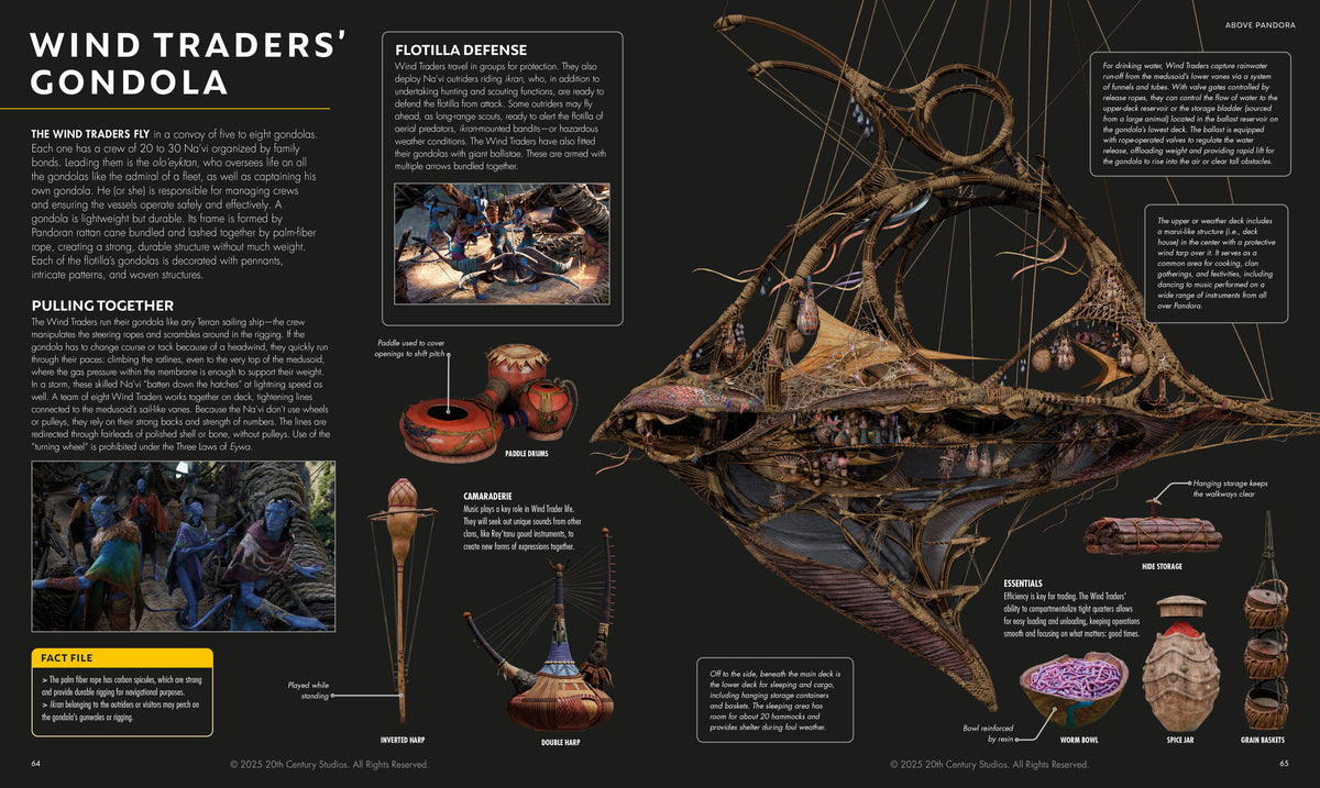 Avatar Fire and Ash The Visual Dictionary – DK