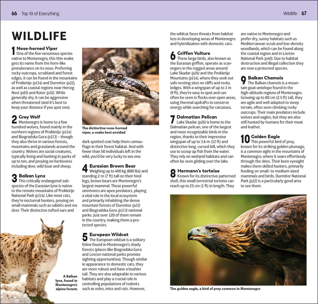 9780241733219-spread-13