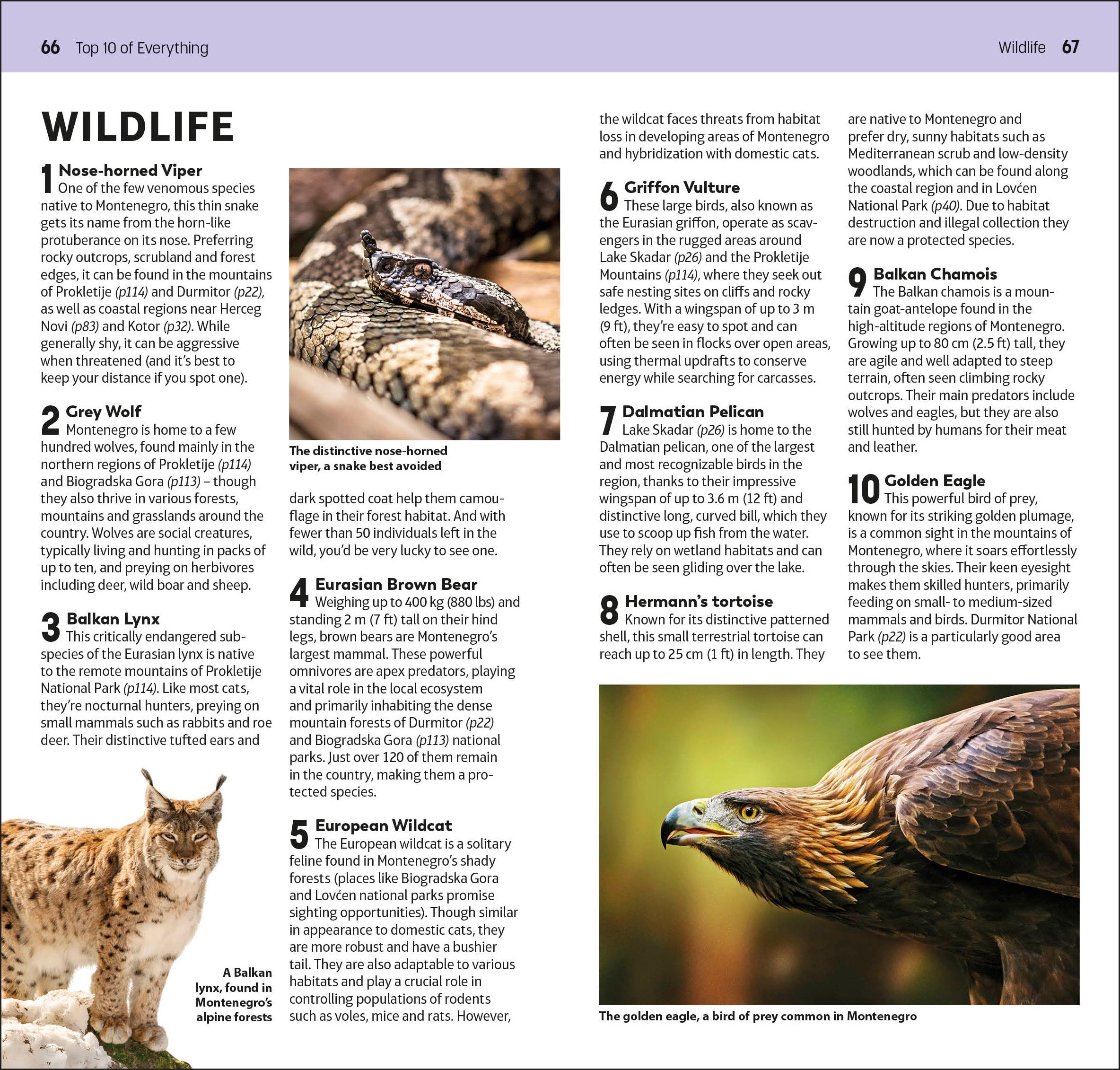 9780241733219-spread-13