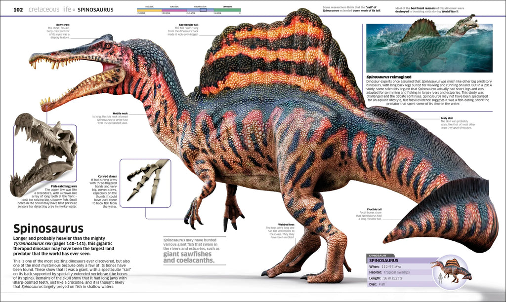 Knowledge Encyclopedia Dinosaur