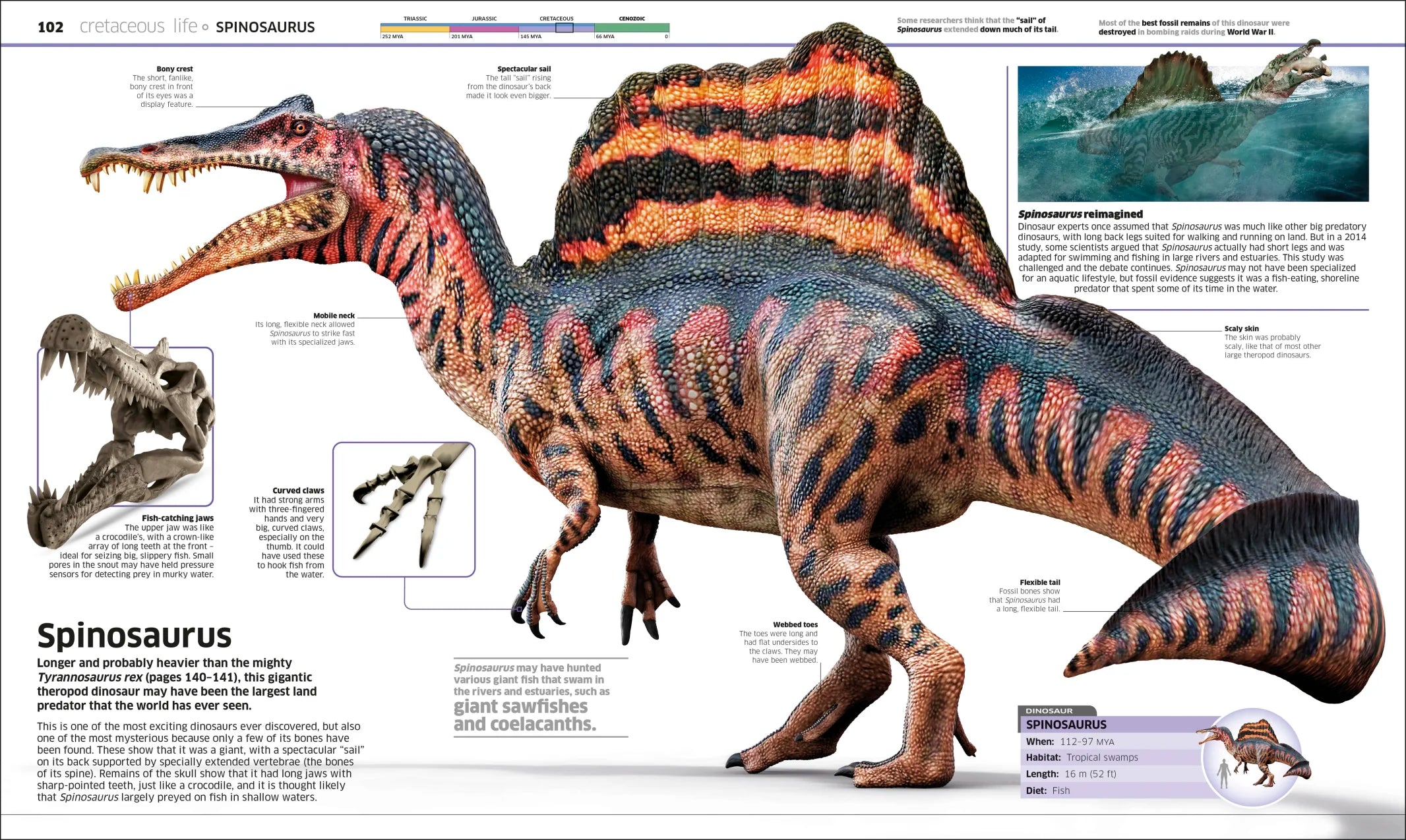 Knowledge Encyclopedia Dinosaur