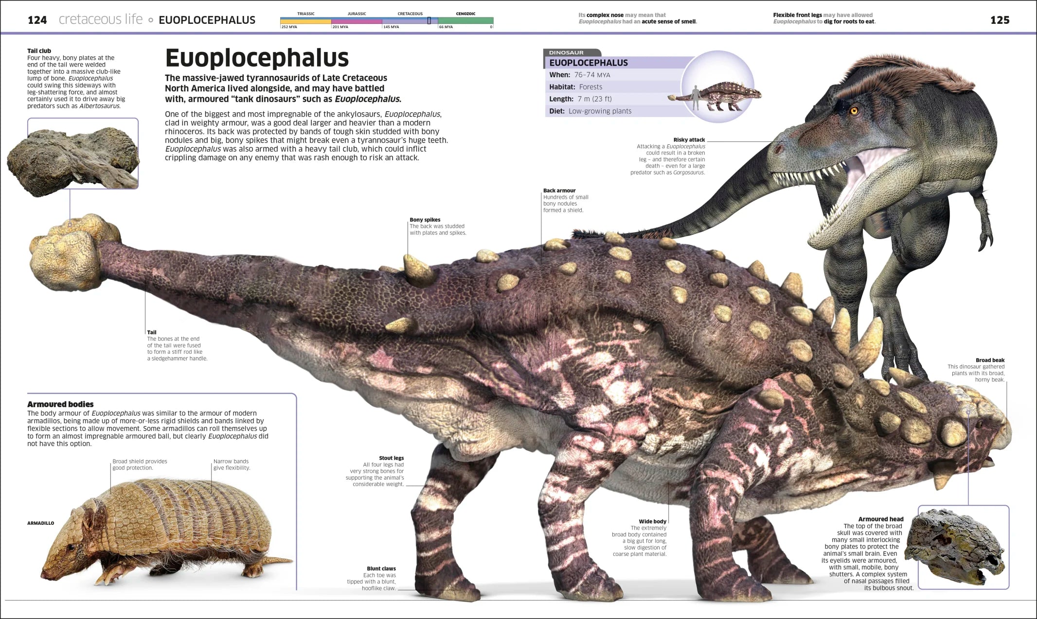 Knowledge Encyclopedia Dinosaur