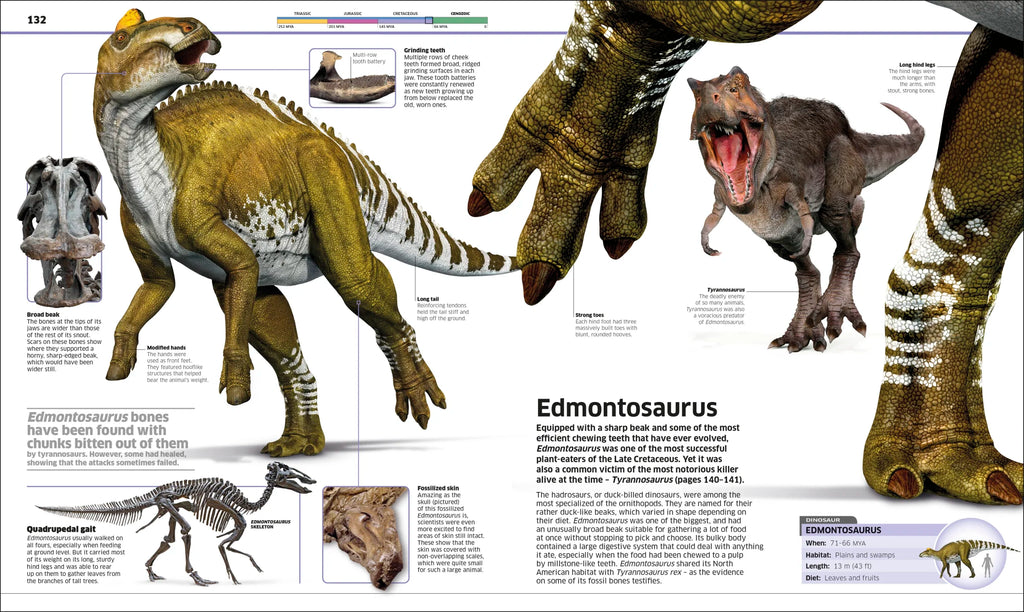 Knowledge Encyclopedia Dinosaur