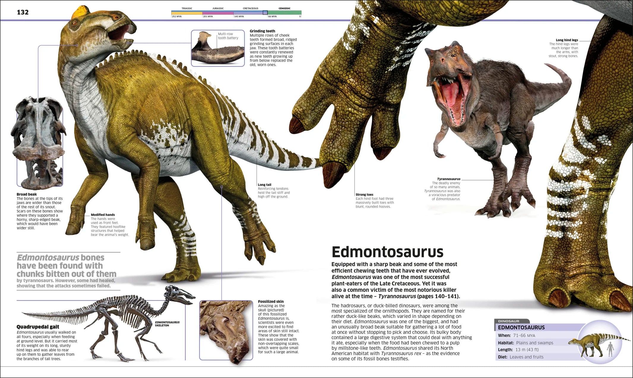 Knowledge Encyclopedia Dinosaur